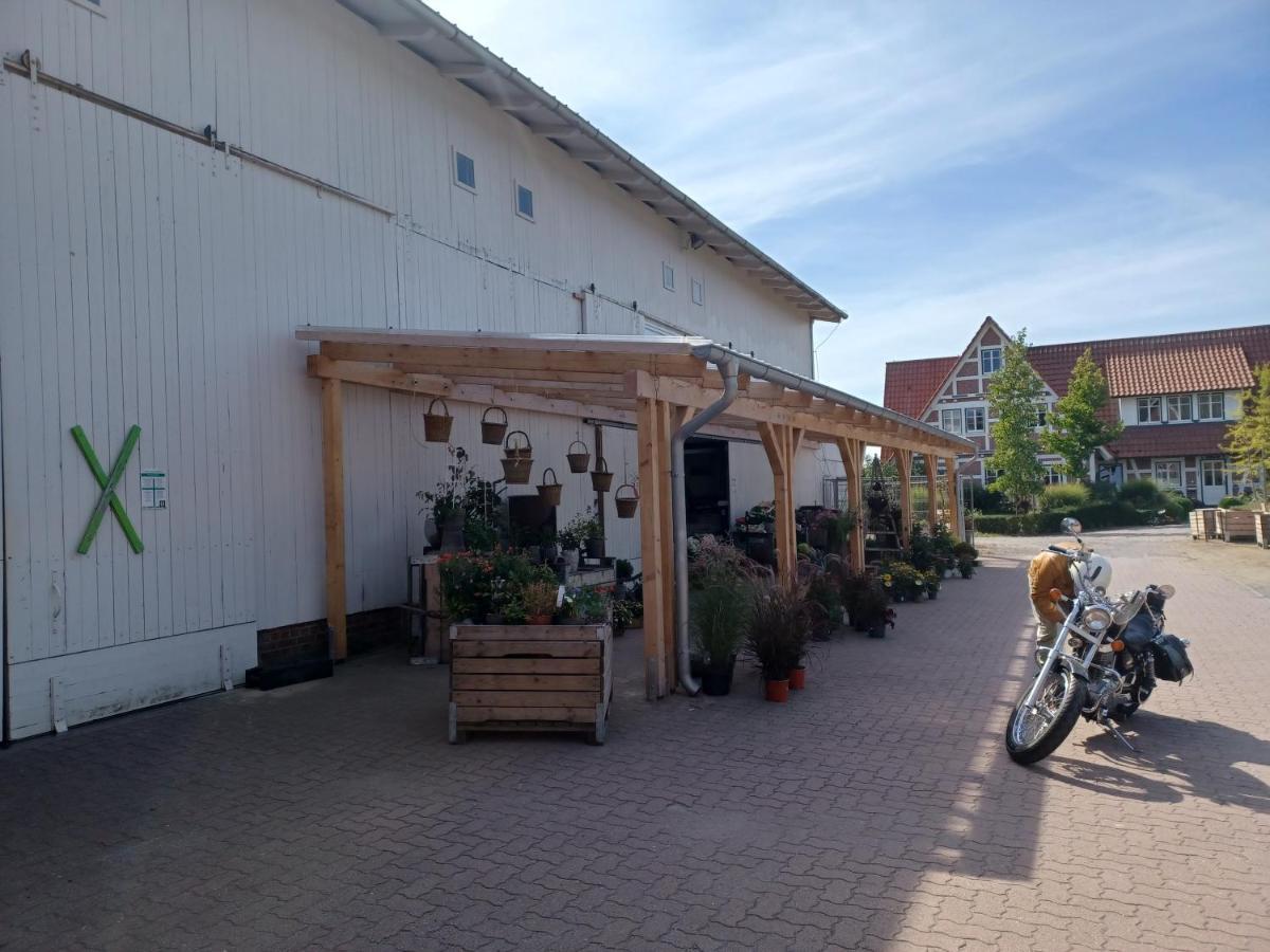Ferienwohnung Am Elbstrom 슈타데 외부 사진