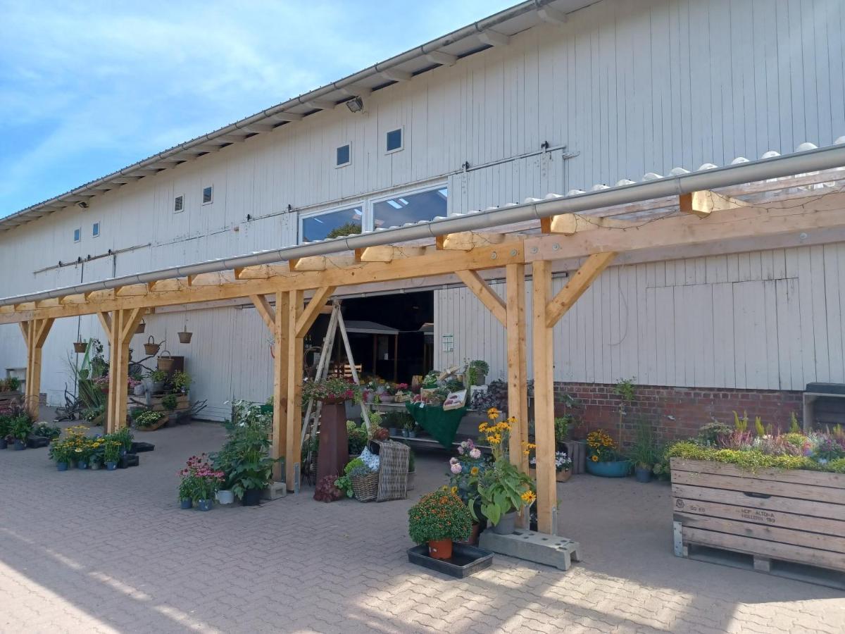 Ferienwohnung Am Elbstrom 슈타데 외부 사진